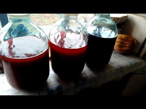 Видео: Процес приготування вина 