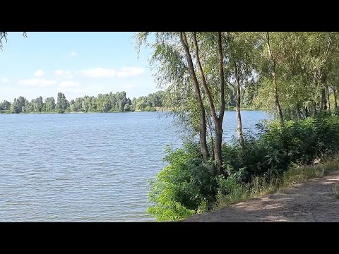 Видео: Отдыхаем на озере Небреж! Конечно же, с шашлычком)