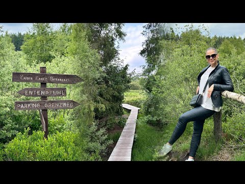 Видео: Eifel.Немецко-Бельгийский природный заповедник.Прогулка в Hohes Venn.