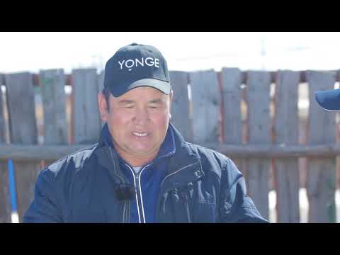 Видео: Царгас ба Шинэ Эдийн Засаг