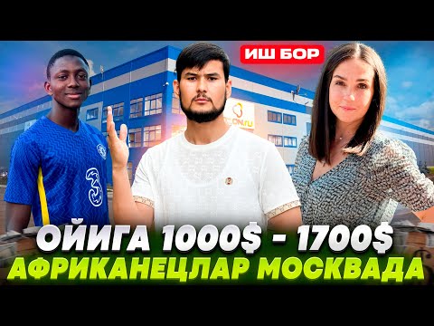 Видео: ИШ БОР ОЙГА 1000$ ДАН 1700$ ГАЧА ТОПЯБДИ БОЛЛАР