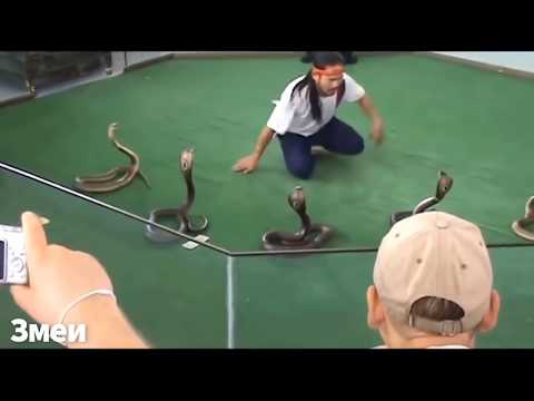 Видео: 10 Самых Быстрых Рабочих в Мире! Так Могут Только Они