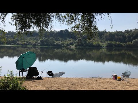 Видео: Фидер на ОКЕ В СЕНТЯБРЕ/ 30 кг ЛЕЩА/ Лещ на каждом забросе