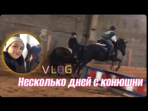 Видео: Vlog! Несколько дней с конюшни