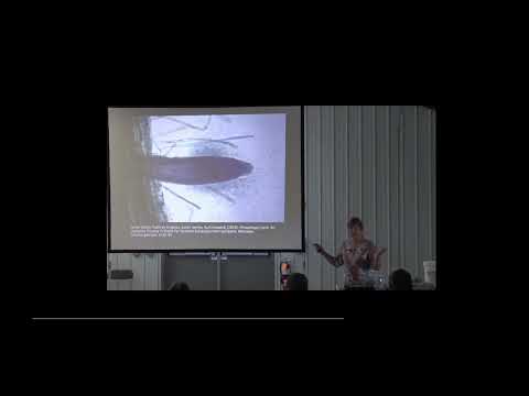 Видео: Её можно слушать бесконечно, Кристина Джонс