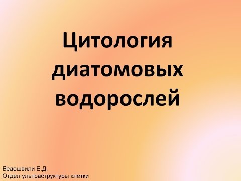 Видео: Цитология диатомовых водорослей (Лимнологический институт СО РАН)