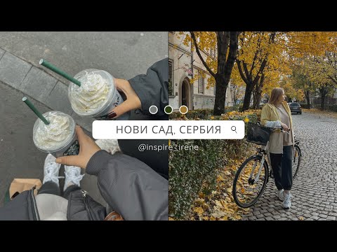 Видео: VLOG Нови Сад: аренда квартиры в Сербии, визаран, сербские будни