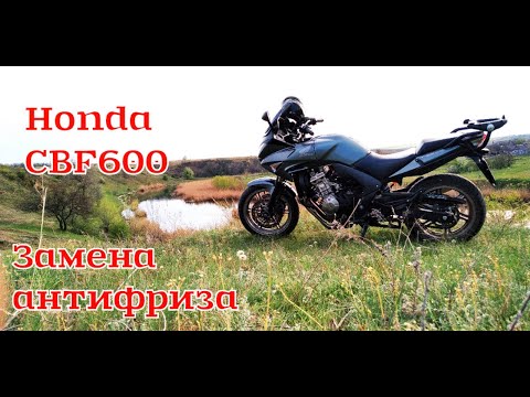 Видео: Замена антифриза Honda CBF600