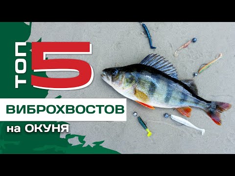 Видео: ТОП 5 виброхвостов на окуня от Павла Лясоцкого. Лучшие активные силиконовые приманки.