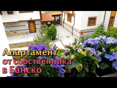 Видео: Друг продает отличный апартамент в Банско