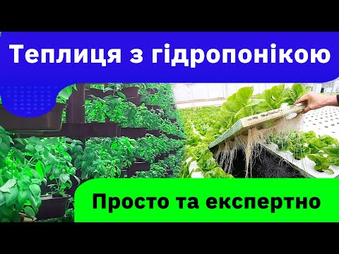 Видео: Теплиця з гідропонікою приносять прибуток