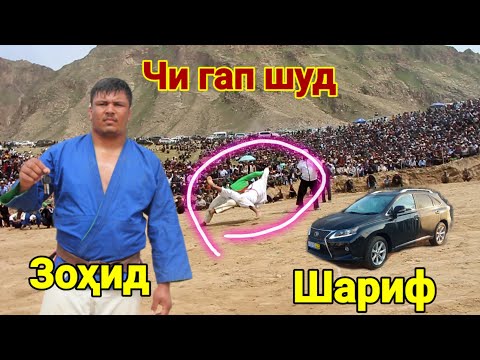 Видео: Майдона Кафонд Зохид против Шариф Гуштини Кубодиён. Гуштин 2025