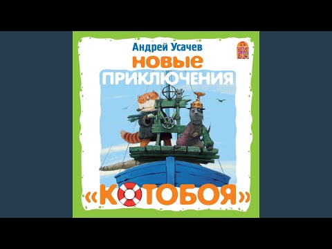 Видео: Котобой идёт в бой