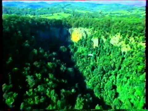 Видео: Анонсы и реклама (REN-TV, 18.08.2004). 5