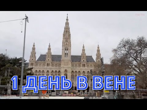 Видео: Прогулки по Вене.