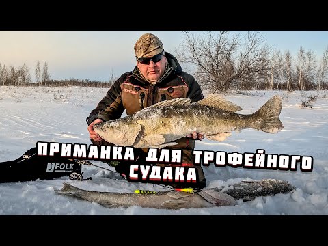 Видео: Один на один с ТРОФЕЙНЫМ судаком. Ловля со льда на виб.