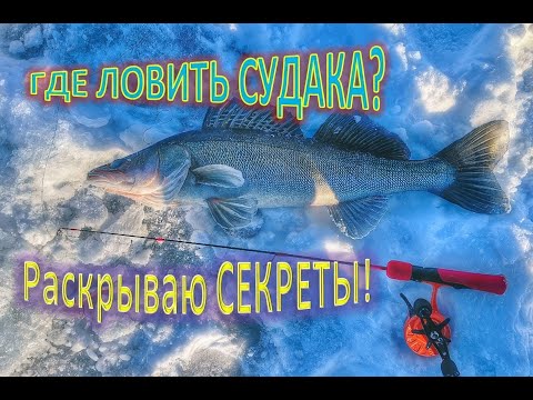 Видео: ГДЕ ЛОВИТЬ СУДАКА? РАСКРЫВАЮ СЕКРЕТЫ!