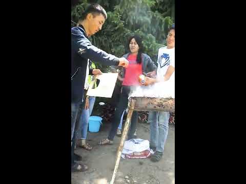 Видео: Кара-Жыгач. Классташтар. Ак кайың 12.07.2015ж