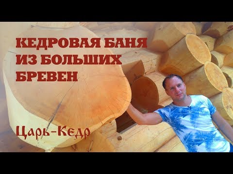 Видео: Кедровая баня из больших бревен. Сруб из кедра большого диаметра.