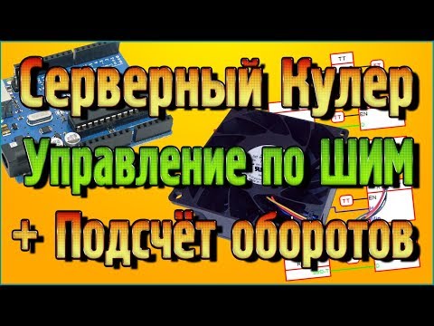 Видео: Серверный Кулер управление по ШИМ + Подсчёт оборотов в программе Flprog