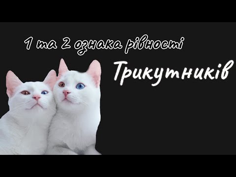 Видео: 7 клас - Ознаки рівності трикутників