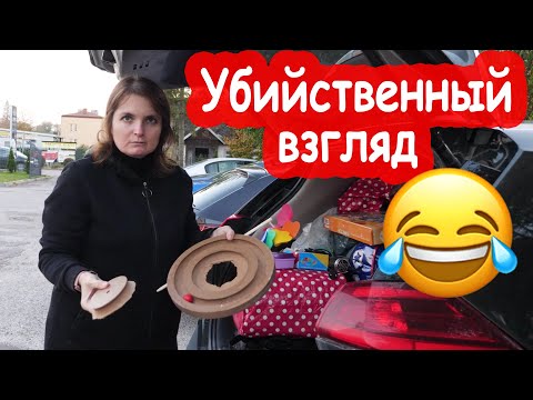 Видео: VLOG Обидно