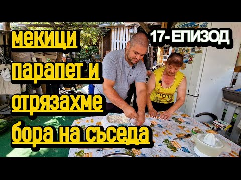 Видео: Приятели, мекички и един БОР по-малко! 🌲✂️
