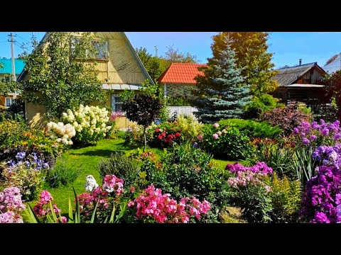 Видео: Отличные идеи как оформить садовый участок / Great ideas on how to design a garden plot