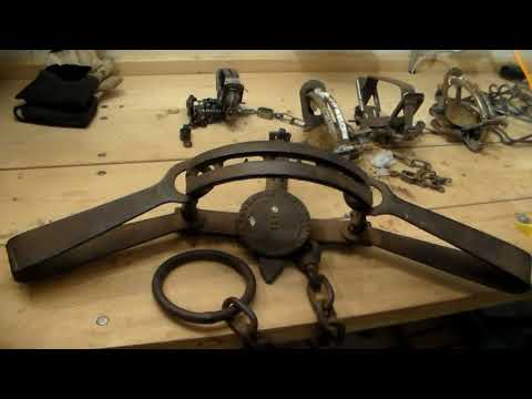 Видео: Капканы в Канаде!