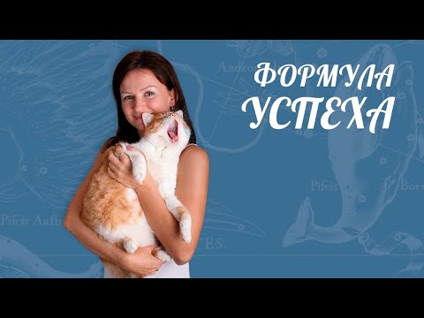 Видео: Формула успеха - показатель выигрыша  аспекты счастья.