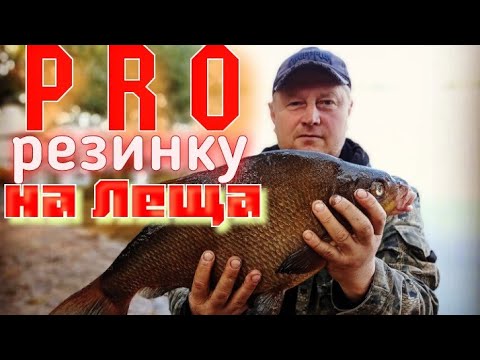 Видео: РЕЗИНКА на ЛЕЩА.Как Надо,Как Это работает.Советы Новичкам.25лет в Теме.Про это Знаю Всё.ЛЕЩИ-ГИГАНТЫ