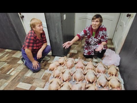 Видео: Жизнь в деревне 🏡// забили бройлеров 🥴// мастер класс от Ларисы 🔥 и тост от Саши 🙏//