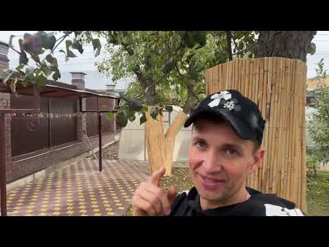 Видео: Honda Magna 750 от Виктор МотоВ