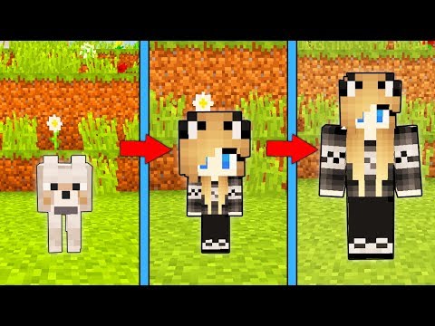 Видео: КАК МЕНЯЛАСЬ ДЕВУШКА СОБАКА И ЕЁ ЖИЗНЕННЫЙ ЦИКЛ В МАЙНКРАФТ ЭВОЛЮЦИЯ ДЕВУШКИ И ТРОЛЛИНГ МУЛЬТИК