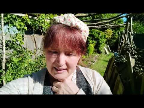 Видео: Дневник осеннего садового тура по коттеджу Уайлдвуд