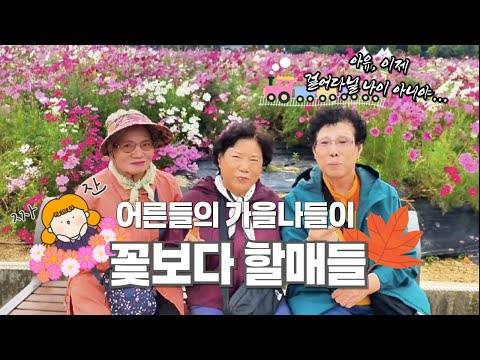 Видео: [СУБ] Бабушки краше цветов! Осенняя прогулка 🍁 | Yangju Nari Park (feat. мини-кар)