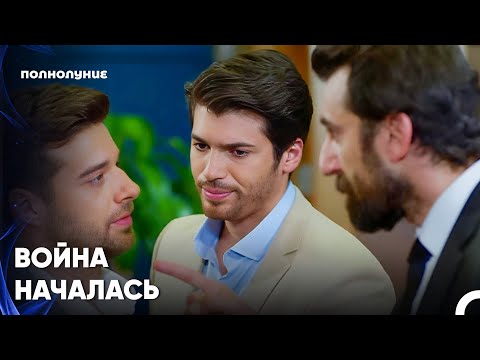 Видео: Предложенные Деньги Вызвали Ажиотаж - Полнолуние 5 серия