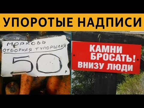 Видео: ТЕСТ на УПОРОТОСТЬ: САМЫЕ ЛЮТЫЕ ОБЪЯВЛЕНИЯ и ВЫВЕСКИ - ТУПОРЫЛАЯ МОРКОВЬ