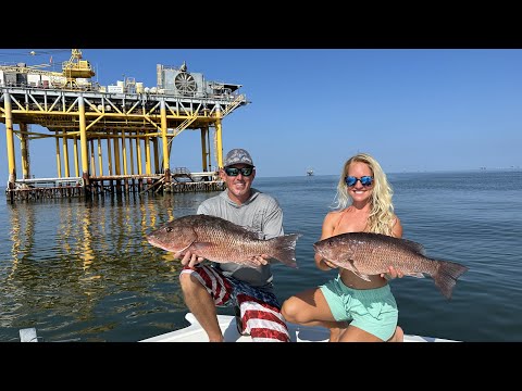 Видео: Рекордный по размеру мангровый луциан с нефтяной платформы! (Поймай, очисти и приготовь)