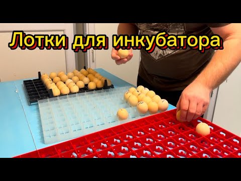 Видео: Лотки в инкубатор. В чем различие? Обзор китайских лотков на 88 куриных яиц.