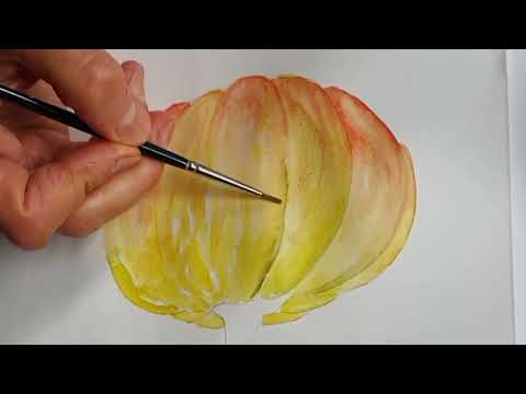 Видео: Рисуй со мной Акварель Тыква #акварельныйрисунок #тыква #рисуйсомной #акварель #осень 