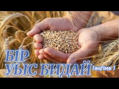 Видео: Бір уыс бидай #аудиокітап Автор:Бекен Қайратұлы #әңгімелер