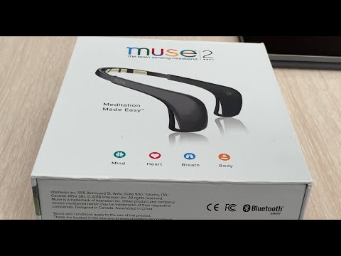 Видео: Muse 2 - читаем мысли