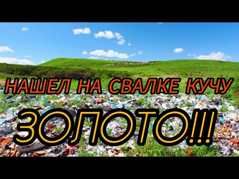 Видео: НАШЕЛ НА СВАЛКЕ КУЧУ , ЗОЛОТО!!! 👍👍👍