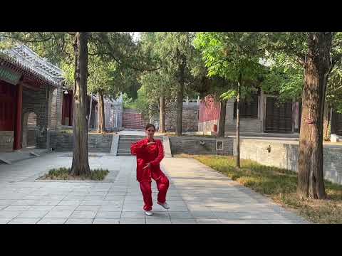 Видео: Шаг тайцзи. Внутренняя работа.