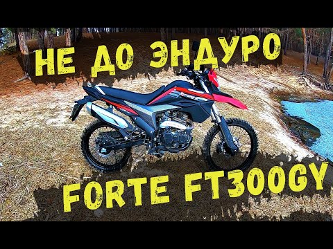 Видео: Forte FT300GY Обзор вся правда