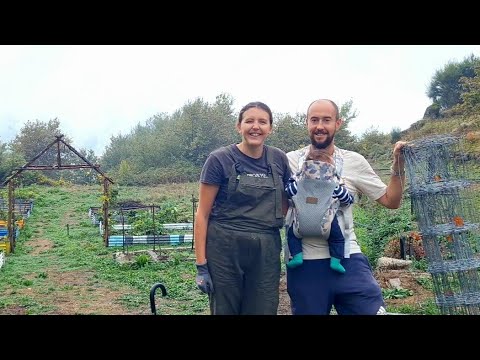 Видео: Жизнь на нашей маленькой ферме: ограждение, овощи и ремёсла