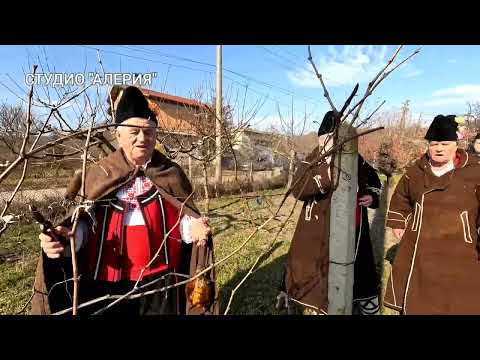 Видео: ТРИФОН ЗАРЕЗАН В СЕЛО СЛЪНЧЕВО