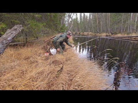 Видео: ЖИЗНЬ В ТАЙГЕ. ДОБЫЛ МЯСА. СТАВЛЮ ЖЕРЛИЦЫ НА ТАЁЖНОЙ РЕКЕ. ХИЖИНА ОХОТНИКА В ГЛУХОМ МЕСТЕ.