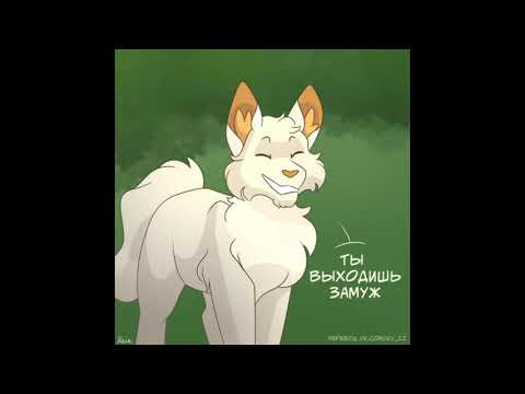 Видео: Коты воители озвучка комиксов приколы